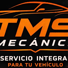 TMS Mecánica